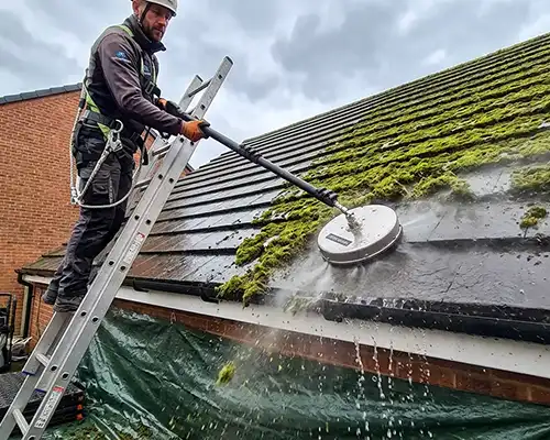 Roof Cleaning